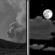 Tonight: Patchy smoke between 7pm and 9pm. Partly cloudy. Low around 56, with temperatures rising to around 58 overnight. North northeast wind 1 to 9 mph. Tonight: Patchy Smoke then Partly Cloudy